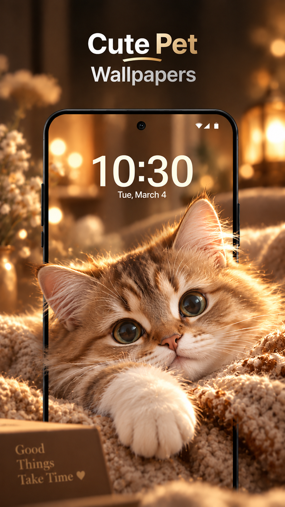 Cute Pet wallpaper showing a kitten on a warm, softly lit background